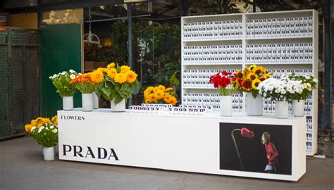 prada flower pop up|In Conversation with a Flower: How Prada's New Campaign is Spreading.